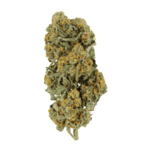Grass Miracle Alien Cookie