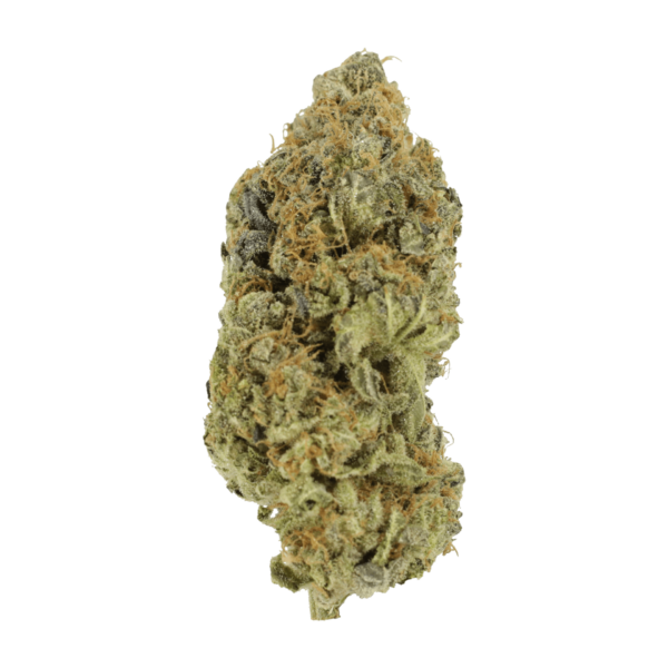 GrassLife Critical Widow