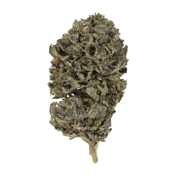 Grass - Purple Skunk