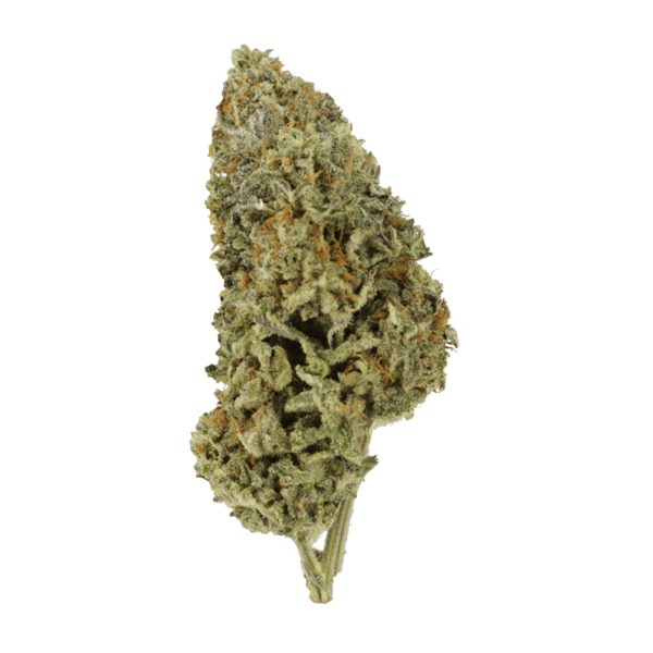 Grass Sour