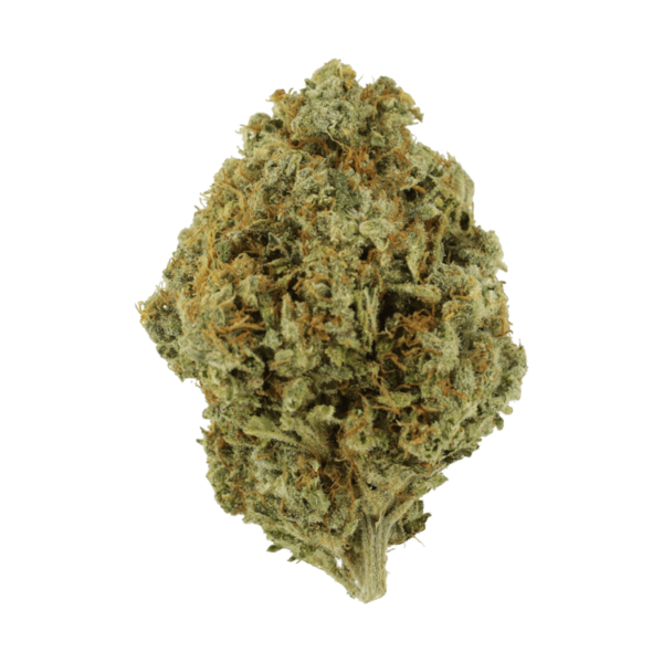 orange-barb