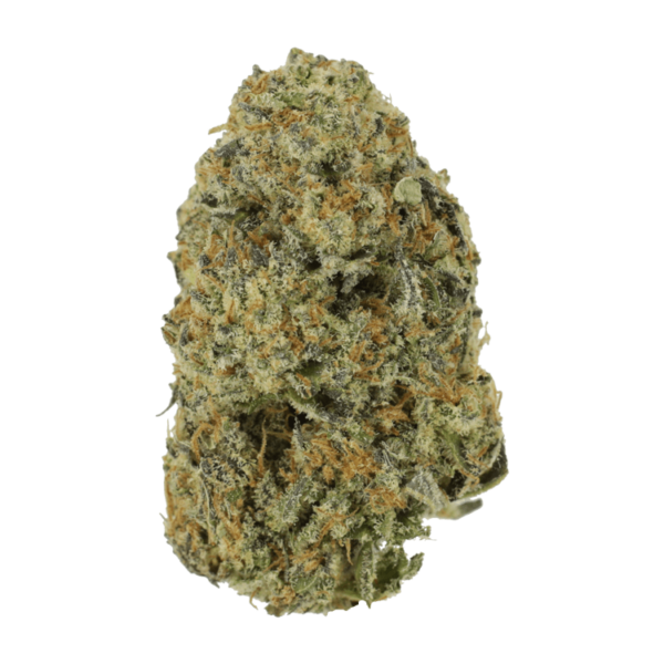 GrassLife - Blue Glue