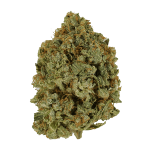 GrassLife - Crazy Glue