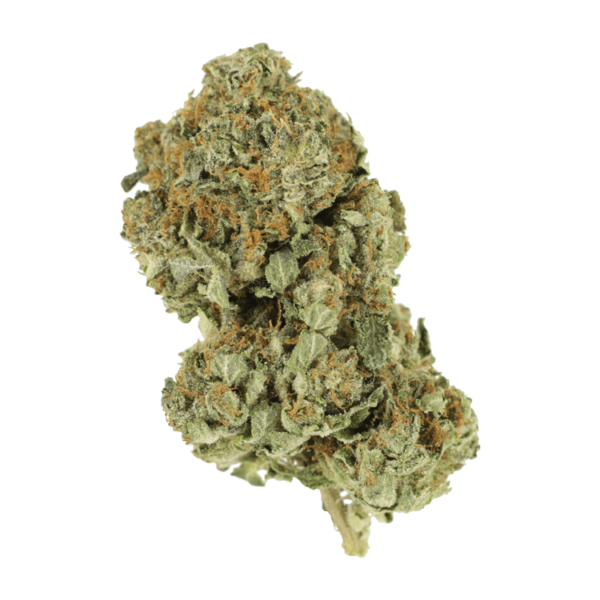 GrassLife - Bubba