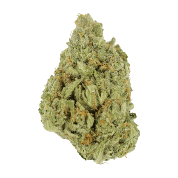 GrassLife - Super Glue