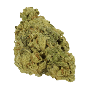 Papaya Punch