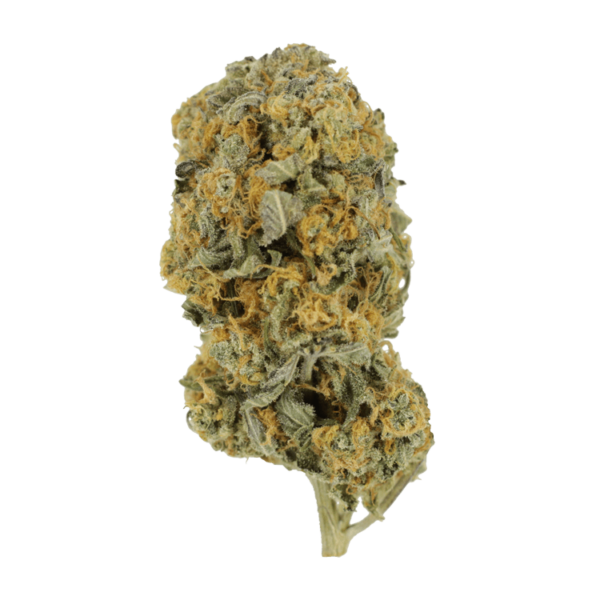 GrassLife - Sour Prince