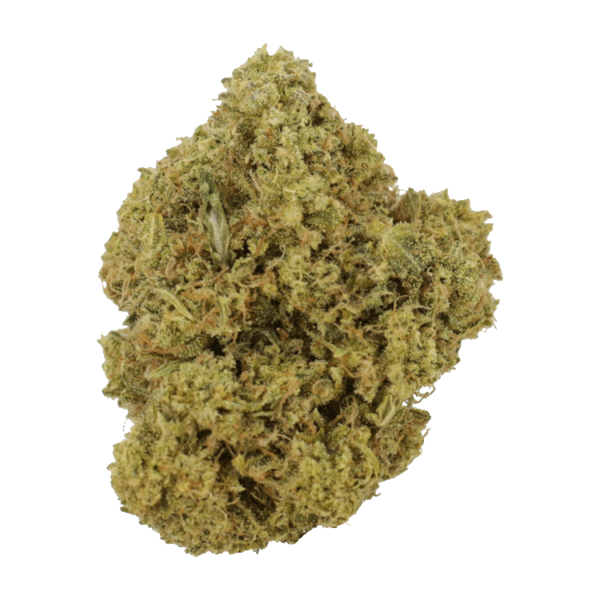 Grass - Ghost Train Haze