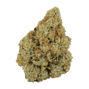 Grass - Black Cherry