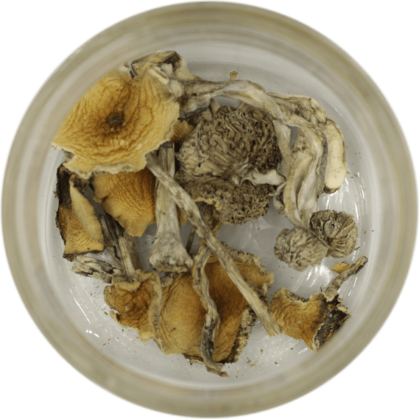 3.5g of Blue Meanies Mushrooms