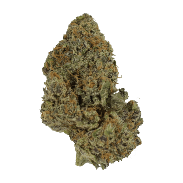 flower-lambs-breath-10-01-21