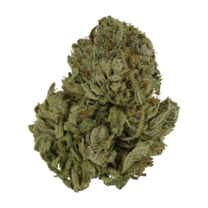 purple candy weed strain