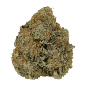 Grass - Purple Punchicle