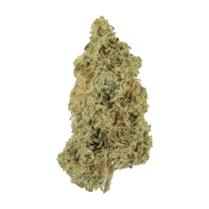 Grass - Tropicana Cookies