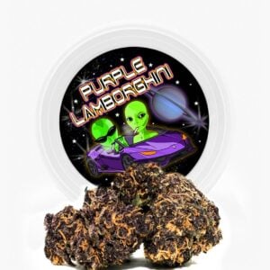 Westcoast Cali Tins – Premium Flower – Purple Lamborghini