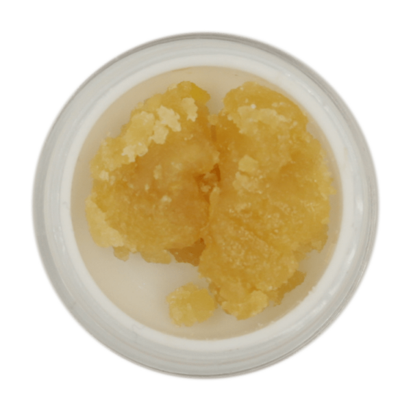 Concentrate GMO Cookies