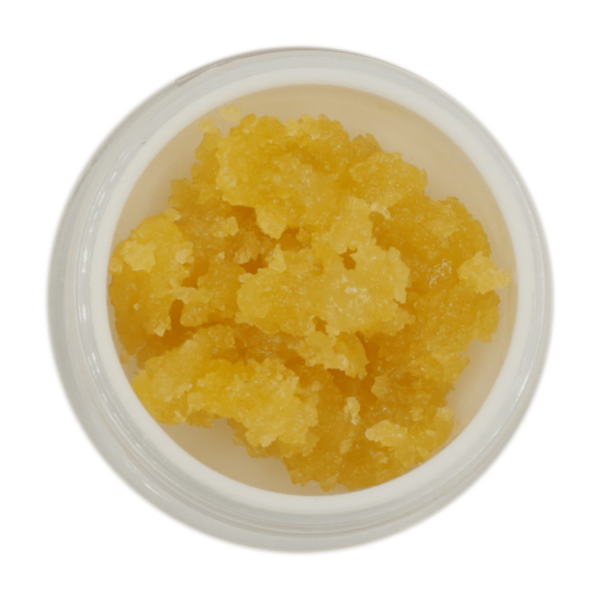 Concentrate Zombie