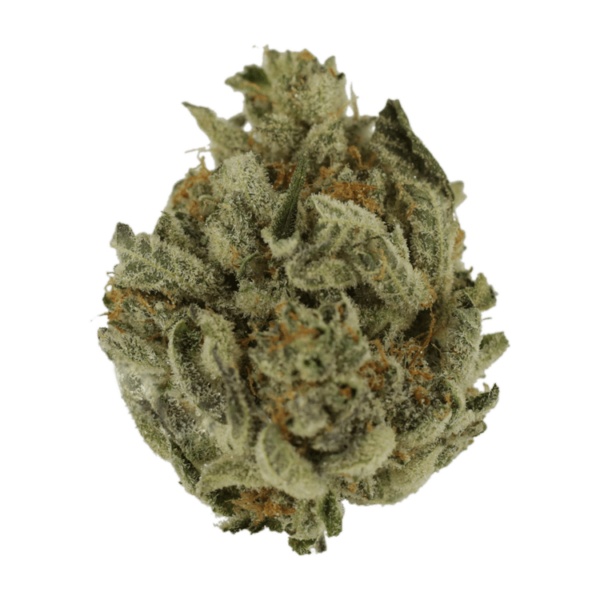 GrassLife - Biscotti Sundae