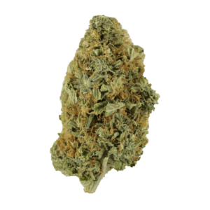 Grass Purple Tuna