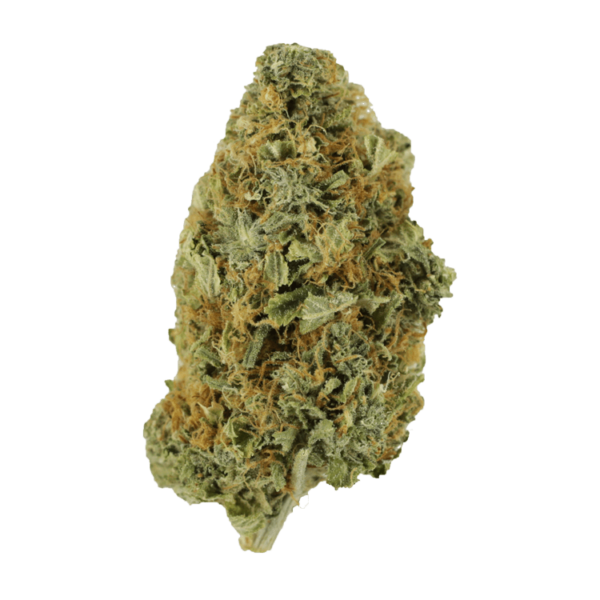 Grass Purple Tuna