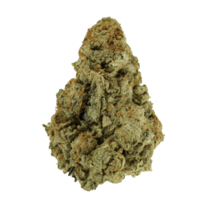 Venice OG