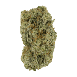 GrassLife Eleven Roses