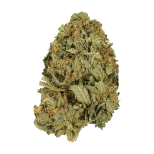Grass - G13