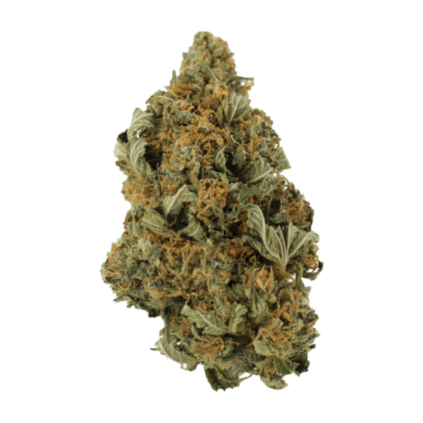 Grass - Gods Bubba