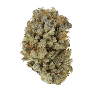 Grass - Medonna Kush