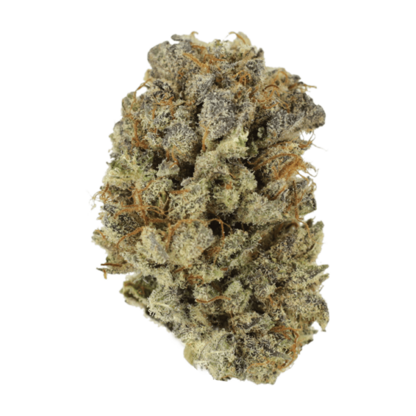 Grass - Medonna Kush
