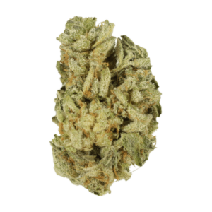 Mimosa Punch