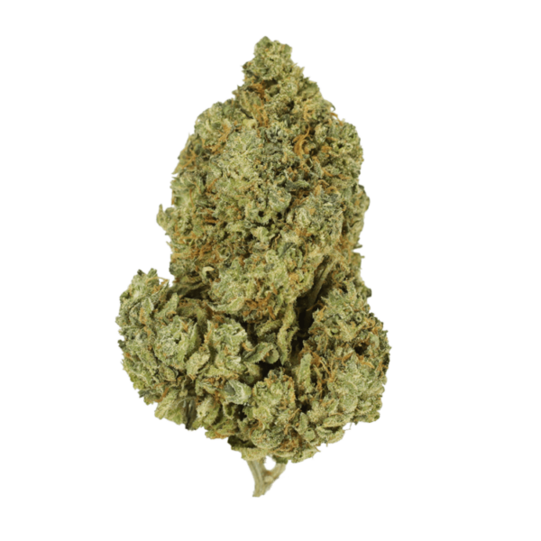 GrassLife Scooby Snacks