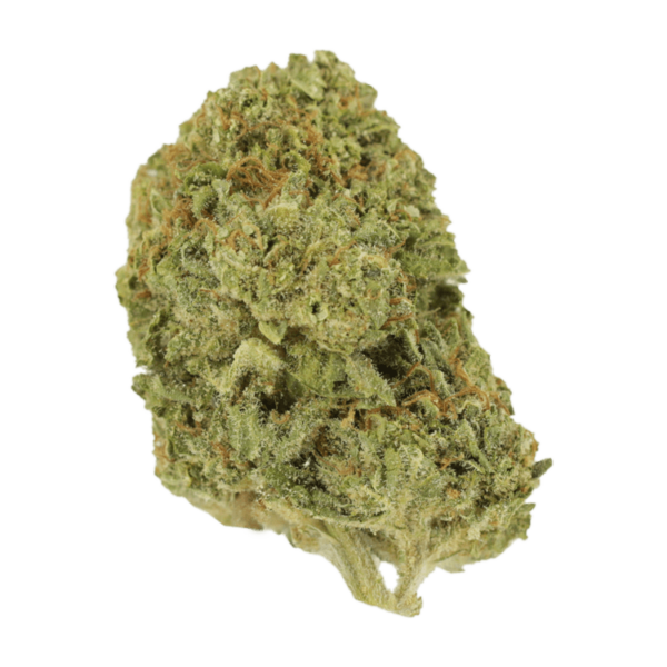 Grass - Mango Cream