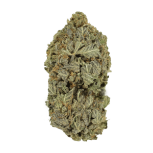 GrassLife - Purple Dream