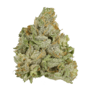 GrassLife - CNC