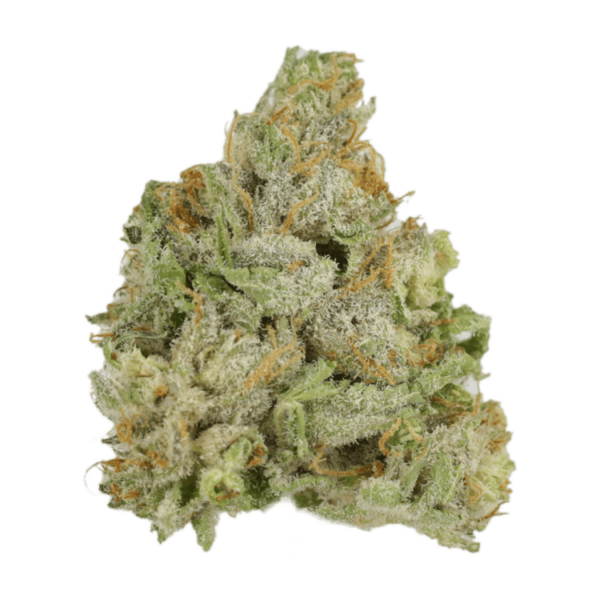 GrassLife - CNC