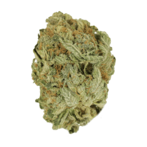 Grass - Ghost Bubba