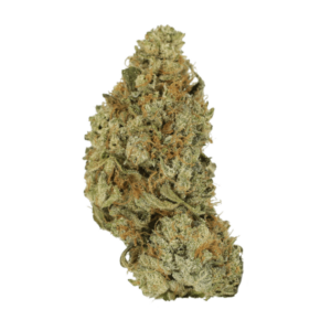 GrassLife Pink Berry