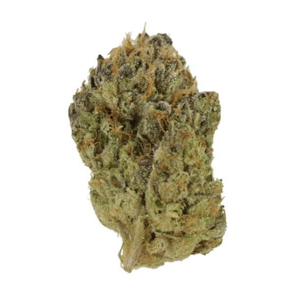 GrassLife - Blueberry Muffin