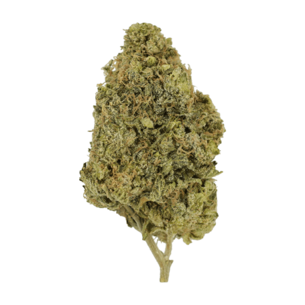 Grass - Blunicor