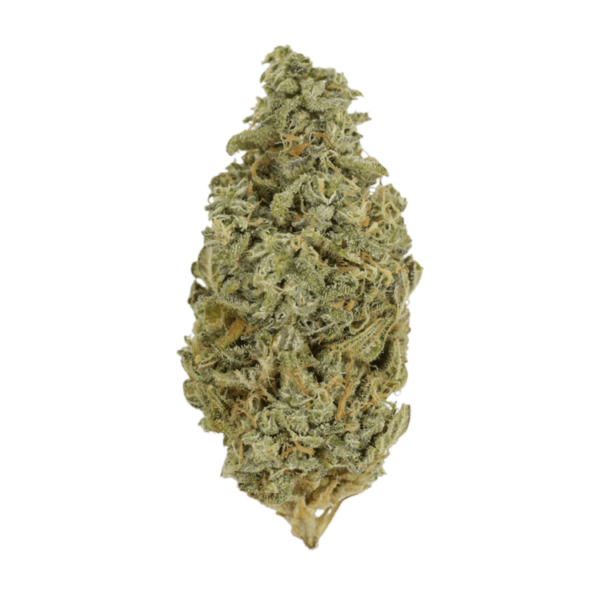 Grass - Pink Cookies