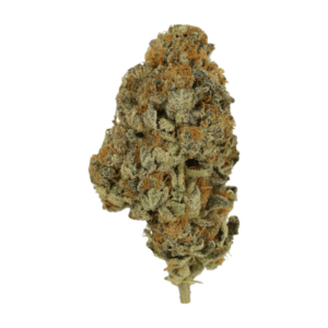Key Lime Pie