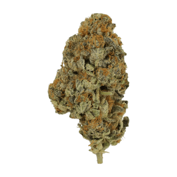 Key Lime Pie