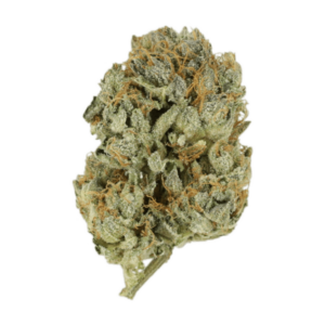 Grass Kashimir Kush