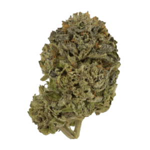 GrassLife - SFV