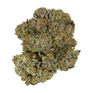 Grass - Chocolate Mintz