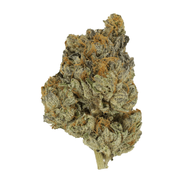 GrassLife - Wedding Cake
