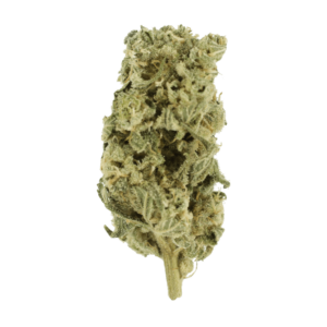 Hash Plant