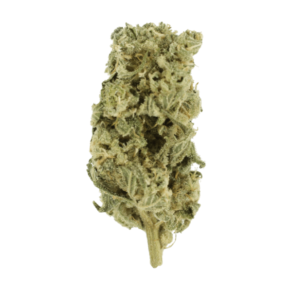 Hash Plant