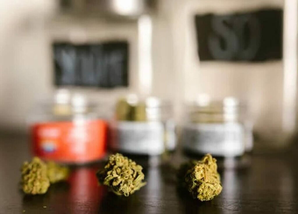 Best dispensaries in Canada Newfoundland cannabis